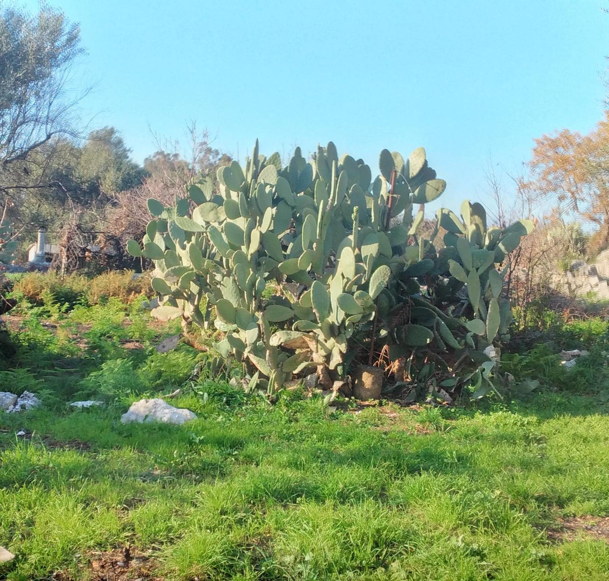 Casa Sulla Montagna * Loutses